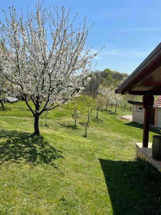 Villa Doma Samobor Buitenkant foto