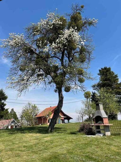 Villa Doma Samobor Buitenkant foto