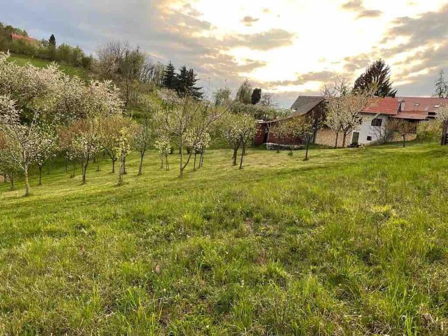 Villa Doma Samobor Buitenkant foto